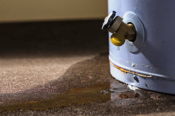 Best Water damage cleanup near me  in Media, PA