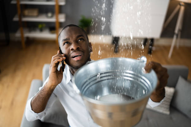 Best Flood restoration services  in Media, PA
