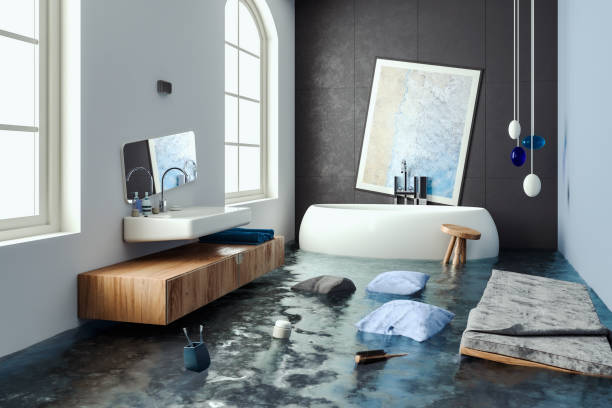 Best Mold removal after water damage  in Media, PA