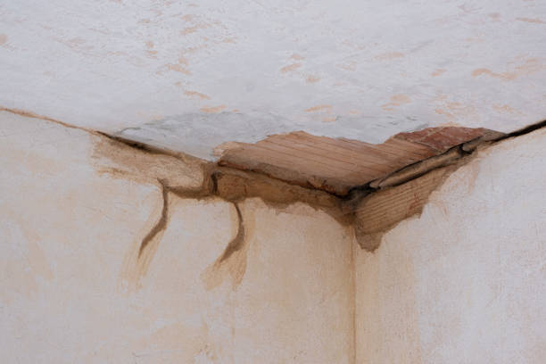 Best Carpet water damage restoration  in Media, PA