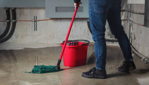 Best Sewage cleanup and water damage restoration  in Media, PA