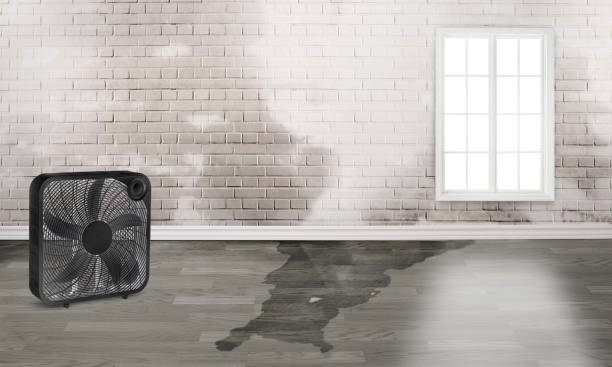  Media, PA Water damage restoration Pros