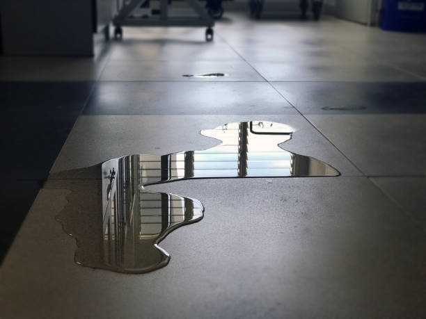 Best Water damage restoration near me  in Media, PA