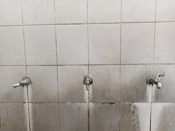 Best Commercial water damage restoration  in Media, PA