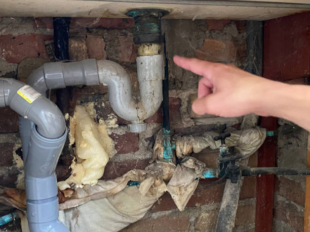 Best Local water damage restoration  in Media, PA