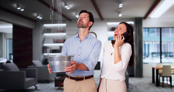 Best Basement water damage restoration  in Media, PA
