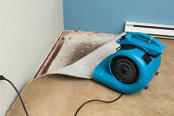 Best Sewage cleanup and water damage restoration  in Media, PA